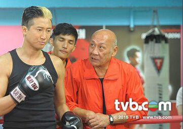 2015港劇 潮拜武當 錢小豪/楊怡 國語中字 盒裝4碟