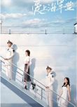 2025大陸劇 愛上海軍藍/許你歲月靜好【TV全集+特輯+幕後花絮】 金瀚/宣璐 高清盒裝6碟