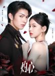 2025大陸劇《灼心/再說一次我愛你》李沐宸/樊治欣 國語中字 盒裝3碟