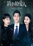 2025大陸劇《消失的愛人》倪菘陽/王星辰 國語中字 盒裝2碟