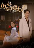 2024大陸短劇 厲總，你找錯夫人了 韓雨彤/曾輝 國語中字