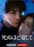 2025日劇《愛你至死》成宮寬貴/瀧本美織 日語中字 盒裝2碟