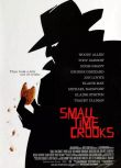 2000高分美國電影 業余小偷/貧賤夫妻百事吉/Small Time Crooks 伍迪·艾倫 英語中字 盒裝1碟