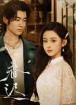 2025大陸劇《春遲/Hesitating Spring》邊天揚/吉舒亦 國語中字 盒裝3碟