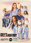 2024高分美劇 實習醫生格蕾/Grey's Anatomy 第21季 艾倫·旁派 英語中字 盒裝5碟