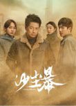 2025高分大陸劇 沙塵暴 段奕宏/王鏘 高清盒裝4碟