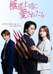2025日劇 被極道上司愛上以後 戶塚祥太/紺野彩夏 日語中字 盒裝2碟