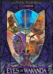 2025美劇《瓦甘達之眼/瓦坎達之眼/Eyes of Wakanda》克萊斯·威廉斯 英語中字 盒裝1碟
