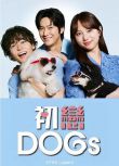 2025日劇 初戀DOGs/去愛吧 像狗一樣誠實 清原果耶 日語中字 盒裝2碟