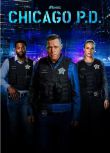 2024高分美劇 芝加哥警署/芝加哥警局/ Chicago P.D. 第十一季 傑森·貝蓋 英語中字 盒裝3碟