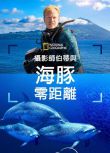 2025美國紀錄片《攝影師貝爾蒂與海豚零距離/攝影師伯蒂與海豚零距離》英語中字 盒裝1碟
