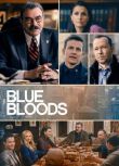 2022高分美劇 警察世家/Blue Bloods 第十三季 湯姆·塞立克 英語中字 盒裝4碟