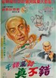 1967歐美高分電影 悠長的假期/ The Big Vacation 路易·德·菲耐斯 法語中字 盒裝1碟