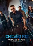 2024高分美劇《芝加哥警署/芝加哥警局 第十二季》傑森·貝蓋 英語中字 盒裝4碟