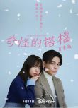 2025日劇《奇怪的搭檔/奇怪的搭檔 日本版》八木勇征/齊藤京子 日語中字 盒裝2碟