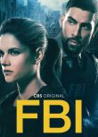 2021美劇《聯邦調查局/FBI 第四季》梅西·帕瑞格蘭 英語中字 盒裝2碟