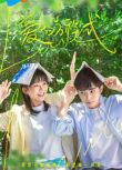 2025大陸劇《愛的方程式/親愛的希帕蒂婭》宋伊人/郭子凡 國語中字 盒裝4碟