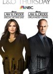 2021高分美劇 法律與秩序：特殊受害者 第二十三季 瑪莉絲卡·哈吉塔 英語中字 盒裝6碟