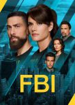 2024高分美劇 聯邦調查局/FBI 第七季 梅西·帕瑞格蘭 英語中字 盒裝6碟