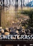 2009高分歐美電影 香草/青青綠草/Sweetgrass 呂西安·卡斯坦因-泰勒 英語中字 盒裝1碟