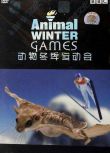 2006高分英國紀錄片 動物冬季運動會/動物冬季奧運會/Animal Winter Olympics 盒裝1碟