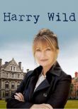 2022愛爾蘭劇 野探哈莉/哈里·懷爾德/Harry Wild 第1-4季 英語中字 盒裝8碟