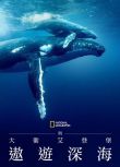 2025英國紀錄片《大衛·愛登堡：海洋》大衛·愛登堡 英語中字 盒裝1碟