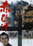 [電影]紅胡子1965 黑澤明 日語中字 盒裝1碟